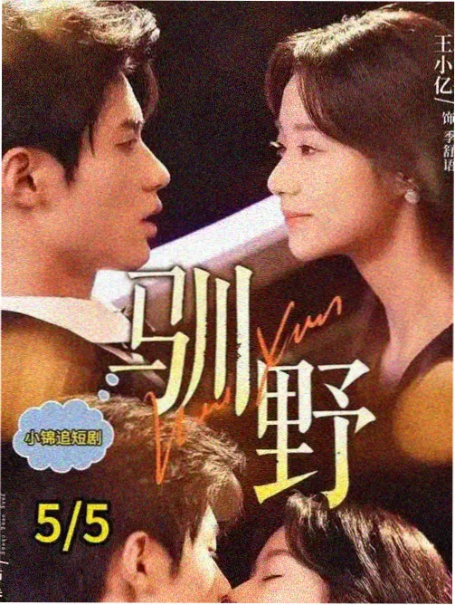 潮汐记事图鉴卡片封面